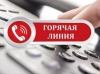 Телефон горячей линии: 8-800-100-56-53