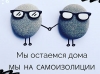 #Сидим дома