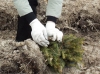 Подарок будущим поколениям
